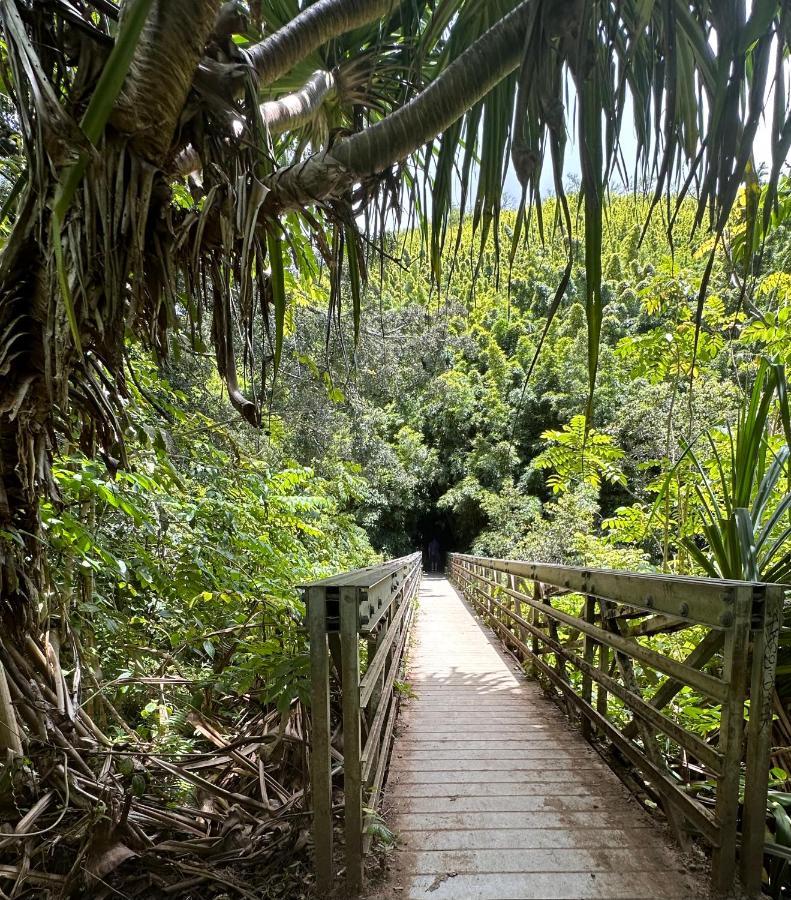 Explore Maui'S Diverse Campgrounds And Uncover The Island'S Beauty From Fresh Perspectives Every Day As You Journey With Aloha Glamp'S Great Jeep Equipped With A Rooftop Tent Paia Exterior photo